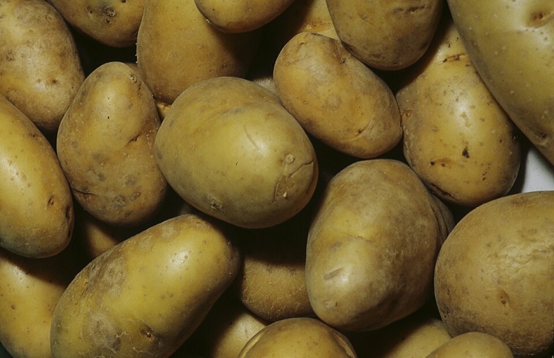 Charlotte New Potatoes