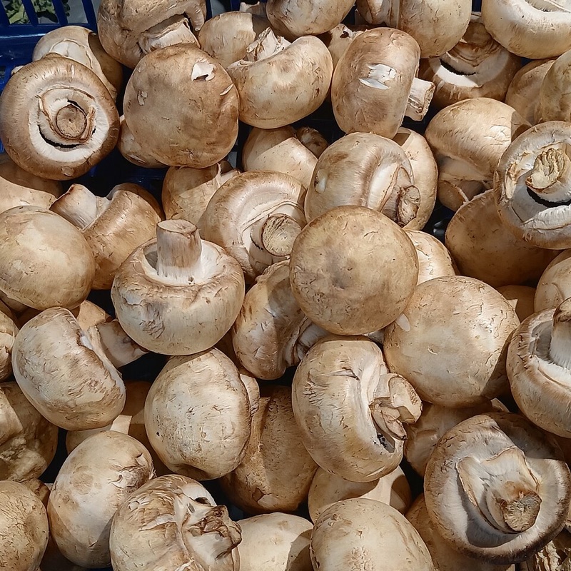 Chestnut Mushrooms