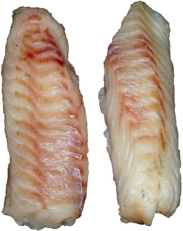 Cod Fillets (Fish Counter)