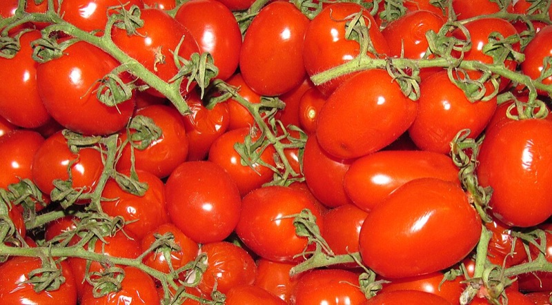 Datterini Tomatoes 250g