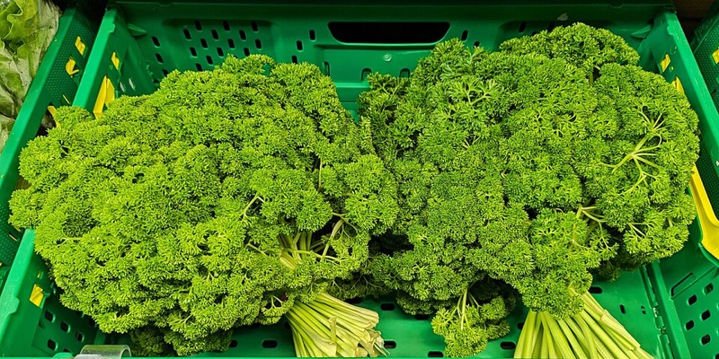 Flat-Leaf Parsley Bunch