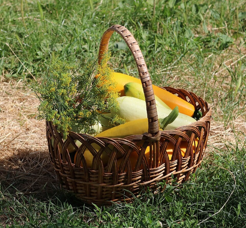 Courgettes